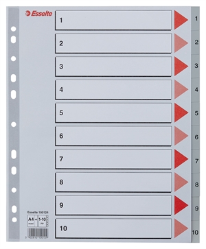 Esselte Register PP A4 maxi 1-10 grå