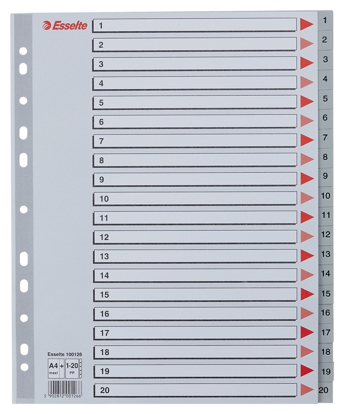 Esselte Register PP A4 maxi 1-20 grå