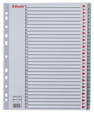 Esselte Register PP A4 maxi 1-31 grå