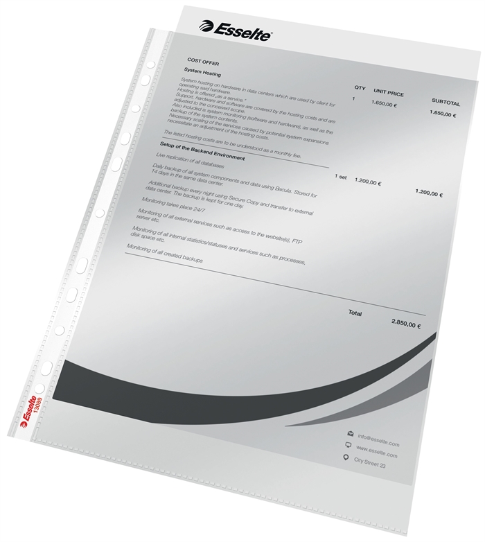 Esselte Pocket 40my PP glas klar A4 TOE (100)