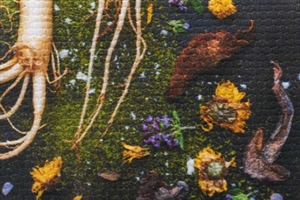 Ilford Galerie FineArt Canvas Galicia 450 g/m² - 36" x 15 meter