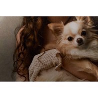 Iflord Galerie Smooth Pearl 310 g/m² - 17" x 27 meter (FSC)