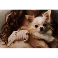 Iflord Galerie Smooth Pearl 310 g/m² - 17" x 27 meter (FSC)