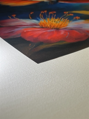 Hahnemühle Daguerre Canvas Smooth 420 g/m² - 24" x 12 meter