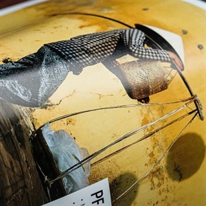 Fotospeed PF Lustre 310 g/m² - 17" x 30 meter