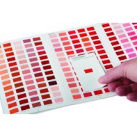 Pantone F&H cotton passport - FHIC200A